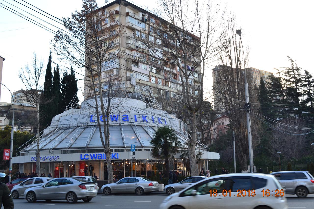 Apartment On Ikalto 8 Tiflis Dış mekan fotoğraf